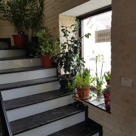 Πανσιόν Casa Lipianu Târgu Jiu